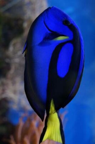 Cover of Palette Surgeonfish, for the Love of Nature