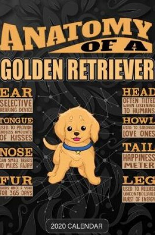 Cover of Anatomy Of A Golden Retriever
