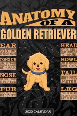 Book cover for Anatomy Of A Golden Retriever