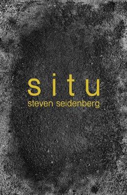 Book cover for Situ