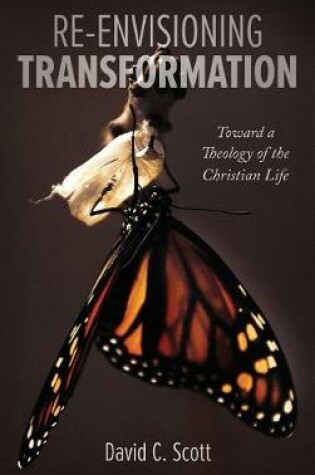 Cover of Re-Envisioning Transformation