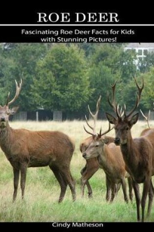 Cover of Roe Deer