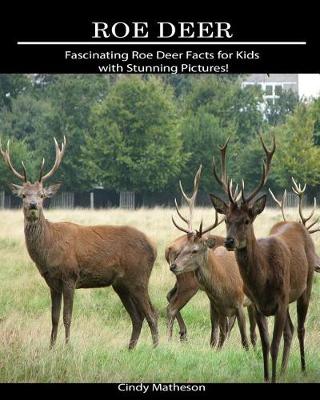 Book cover for Roe Deer