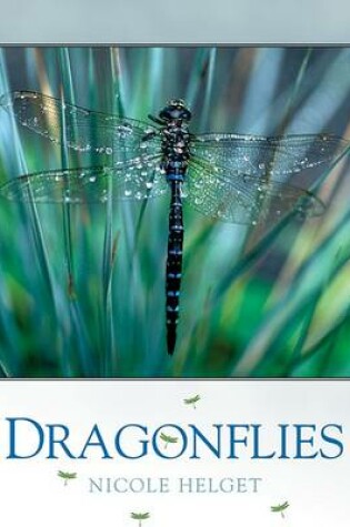 Cover of Dragonflies