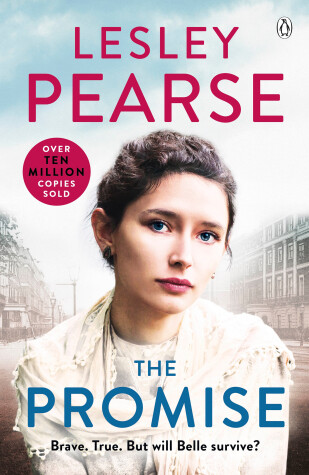 Book cover for The Promise