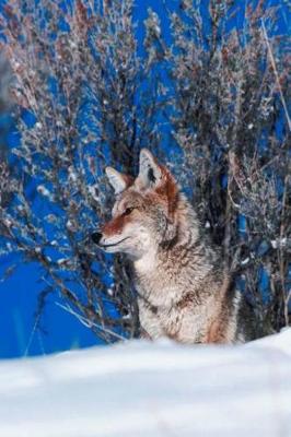 Cover of Journal Wolf Winter Watch