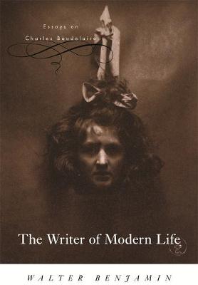 Book cover for The Writer of Modern Life