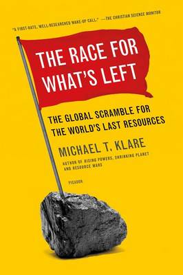 Book cover for The Race for What's Left