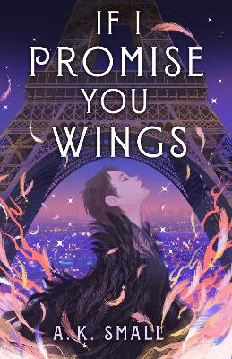 Book cover for If I Promise You Wings