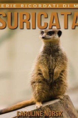 Cover of Suricata