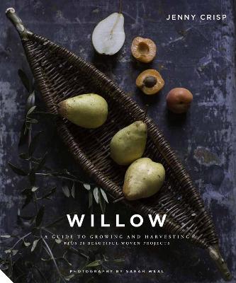 Book cover for Willow