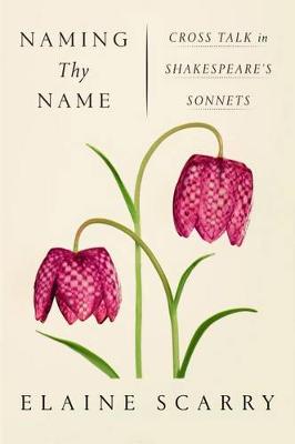 Book cover for Naming Thy Name