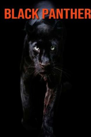 Cover of Black Panther