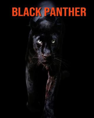 Book cover for Black Panther