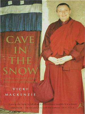 Book cover for Cave In The Snow