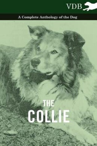 Cover of The Collie - A Complete Anthology of the Dog -