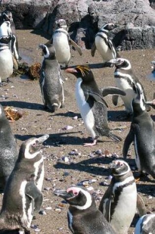 Cover of Macaroni Penguins