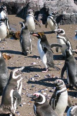 Book cover for Macaroni Penguins