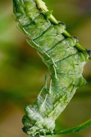 Cover of Green Atlas Moth Caterpillar Journal