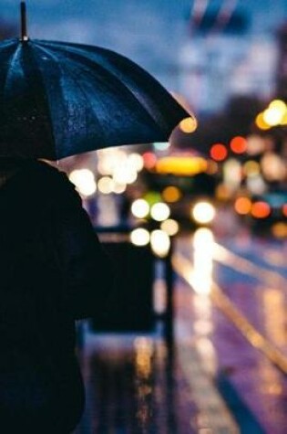 Cover of A Rainy Night in New York City