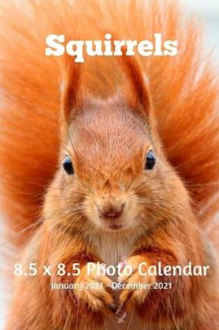 Cover of Squirrels 8.5 X 8.5 Calendar January 2021 - December 2021