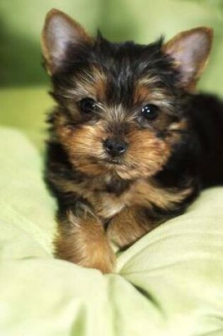 Cover of Yorkshire Terrier Puppy Journal