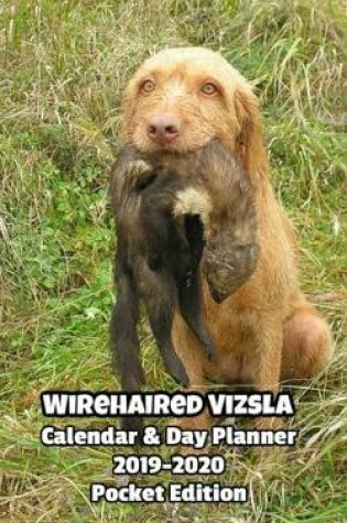 Cover of Wirehaired Vizsla Calendar & Day Planner 2019-2020 Pocket Edition