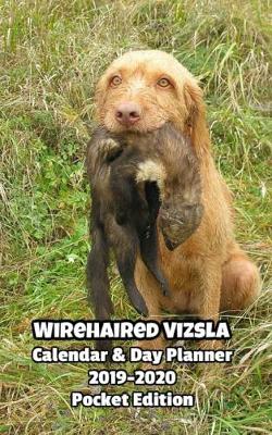 Book cover for Wirehaired Vizsla Calendar & Day Planner 2019-2020 Pocket Edition