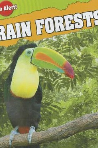 Cover of Rain Forests