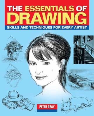 Book cover for The Essentials of Drawing