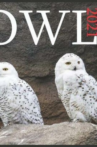 Cover of 2021 Owl