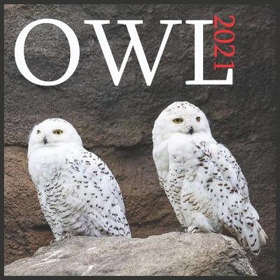 Book cover for 2021 Owl