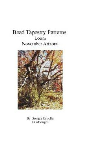 Cover of Bead Tapestry Patterns Loom November Arizona