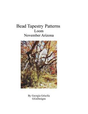 Book cover for Bead Tapestry Patterns Loom November Arizona