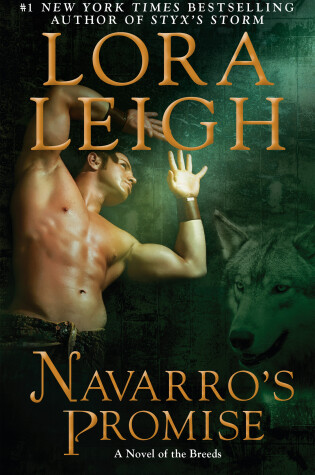 Cover of Navarro's Promise