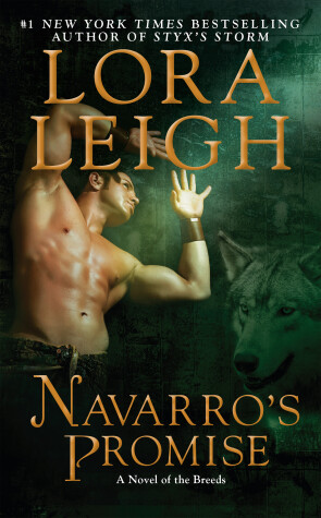 Book cover for Navarro's Promise