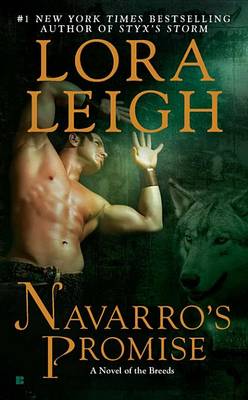 Book cover for Navarro's Promise