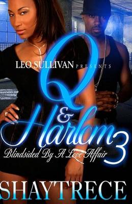 Book cover for Q and Harlem 3