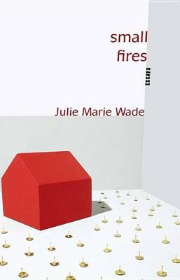 Book cover for Small Fires