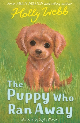 Book cover for The Puppy Who Ran Away