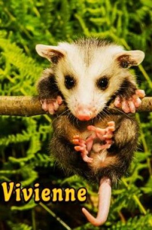 Cover of Vivienne