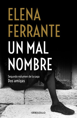 Book cover for Un mal nombre / The Story of a New Name