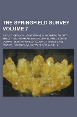 Cover of The Springfield Survey; A Study of Social Conditions in an American City Volume 7