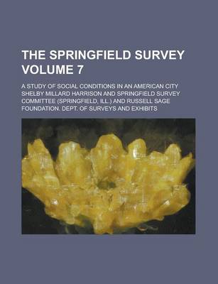 Book cover for The Springfield Survey; A Study of Social Conditions in an American City Volume 7