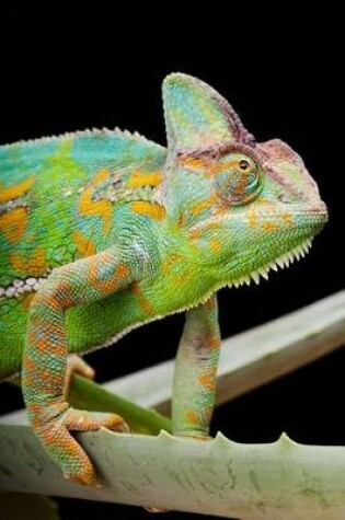 Cover of Yemen or Veiled Chameleon on a Cactus Leaf Journal