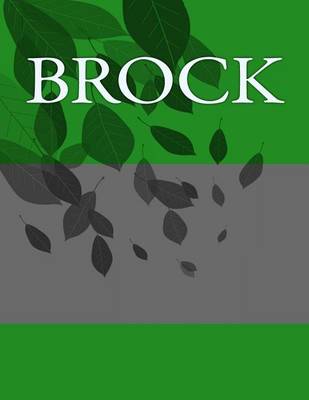 Book cover for Brock