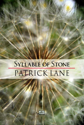 Book cover for Syllable of Stone