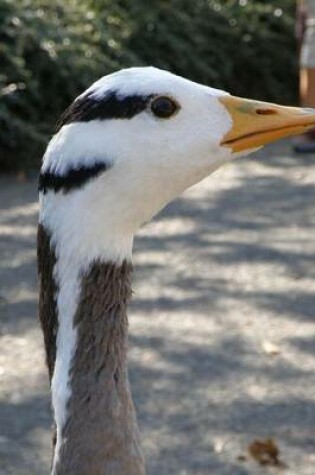 Cover of Indian Goose Portrait Journal