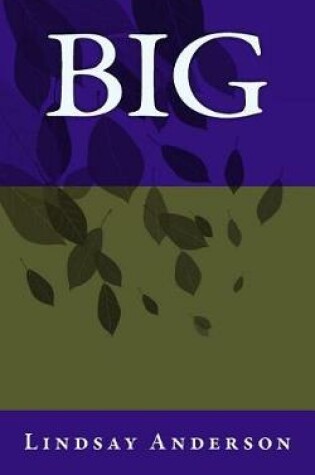 Cover of Big