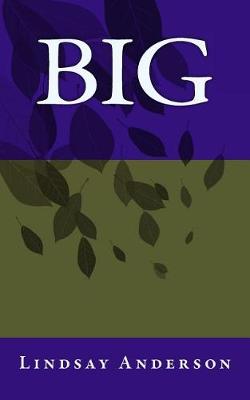 Book cover for Big